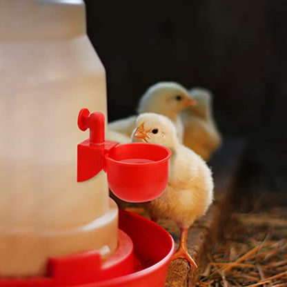 Chicken Water Cup