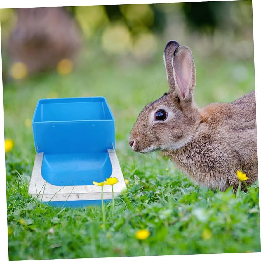 Rabbit Feeder Box