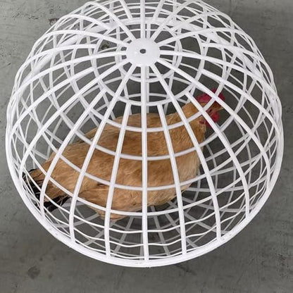 Chicken Coop Ventilation