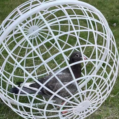 Chicken Coop Ventilation