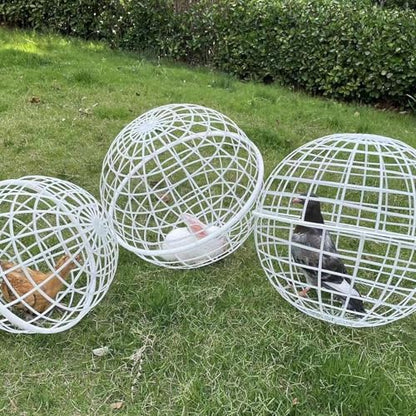 Chicken Coop Ventilation